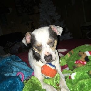 Meet your Posher, Flora